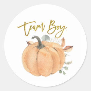 Team Boy Pumpkin Gender onthullen spellabel Ronde Sticker