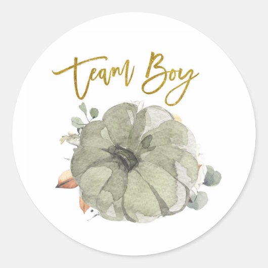 Team Boy Pumpkin Gender onthullen spellabel Ronde Sticker (Voorkant)