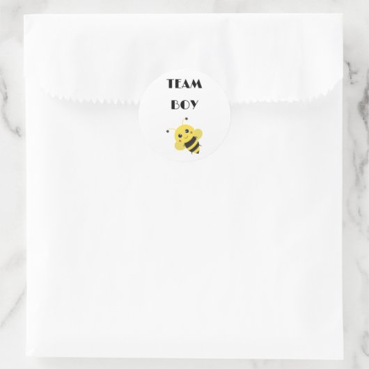 Team Boy Vote gender reveal party Ronde Sticker (Tas)