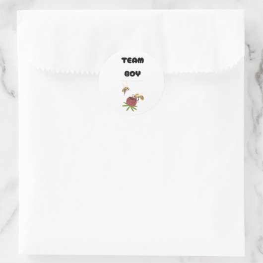 Team Boy Vote gender reveal party Ronde Sticker (Tas)