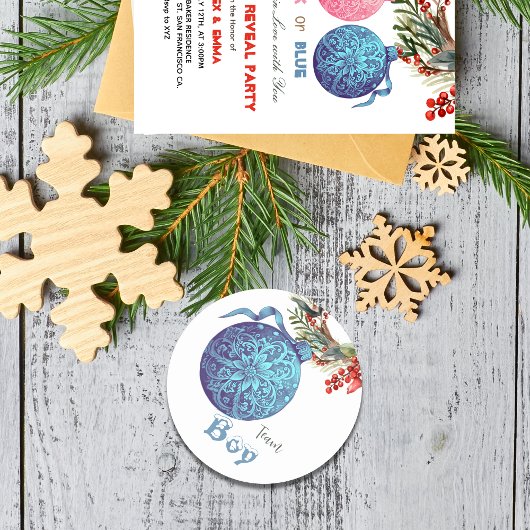 Team Boy Winter Geslacht Onthullen Party Sticker