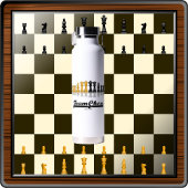 Team Chess Reflecterende schaakstukken Waterfles