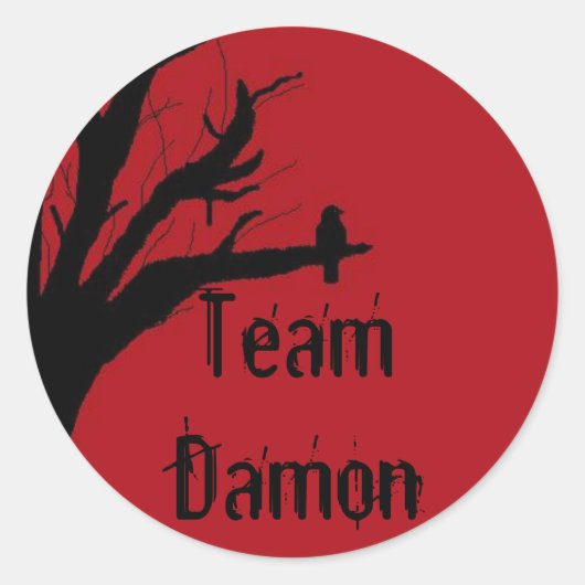 Team Damon Vengeful Crow Ronde Sticker (Voorkant)