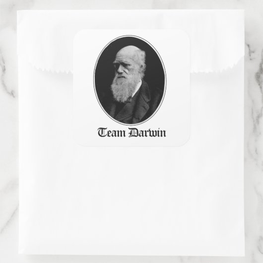 Team Darwin Vierkante Sticker (Tas)