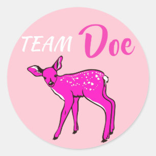 "Team Doe" roze Geslacht onthullen Ronde Sticker