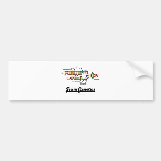 Team Genetics (DNA-replicatie) Bumpersticker (Voorkant)