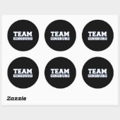 TEAM GINSBURG RONDE STICKER (Vel)