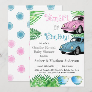Team Girl Team Boy Car Gender onthullen Baby showe