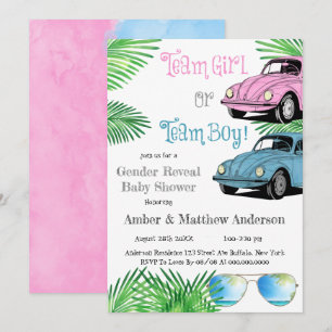 Team Girl Team Boy Car Gender onthullen Baby showe