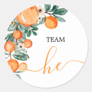 TEAM Hij Gender Onthullen Citrus Oranje Game Label