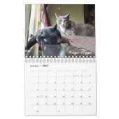 Team ICat Forever Agenda Kalender (Jan 2027)