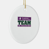 Team in Opleiding AMBBR 2011 Ornament (Rechts)