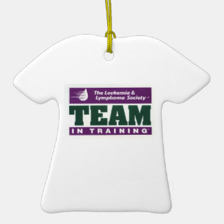 Team in Opleiding AMBBR 2011 Ornament