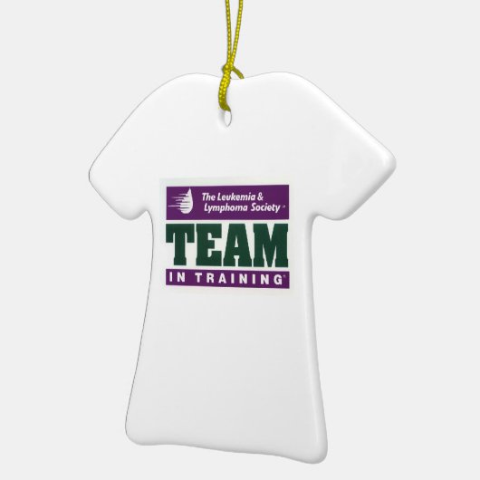 Team in Opleiding AMBBR 2011 Ornament (Links)