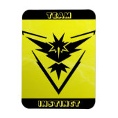 Team Instinct POGO Raid Car Magnet Magneet (Verticaal)