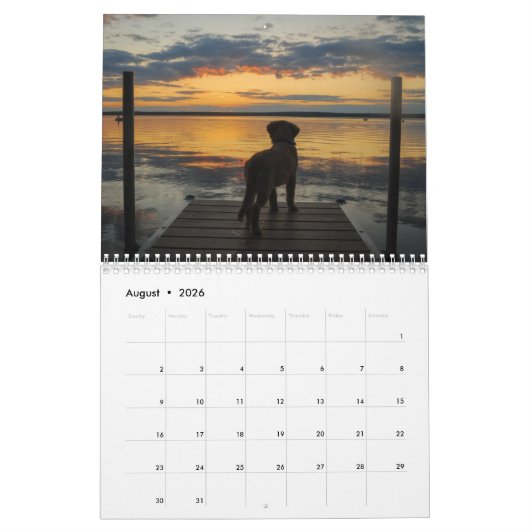 Team Joey Jax 2016 Kalender (Aug 2026)