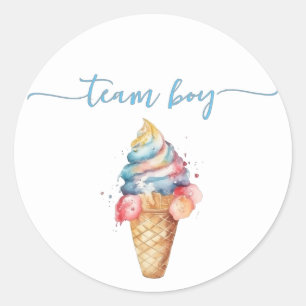 Team Jongen Geslacht Reveal Feest Stem Ijs Ronde Sticker