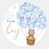 Team Jongen Teddybeer Blauw Geslacht Reveal Stemmi Ronde Sticker (Voorkant)