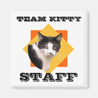 Team Kat Magneet