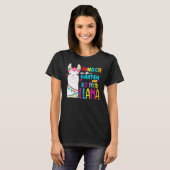 Team Kindergarten Teacher Rainbow No Prob Llama 10 T-shirt (Voorkant volledig)