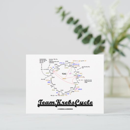 Team Krebs Cycle (Citroenzuurcyclus - TCAC) Briefkaart (Staand voorkant)