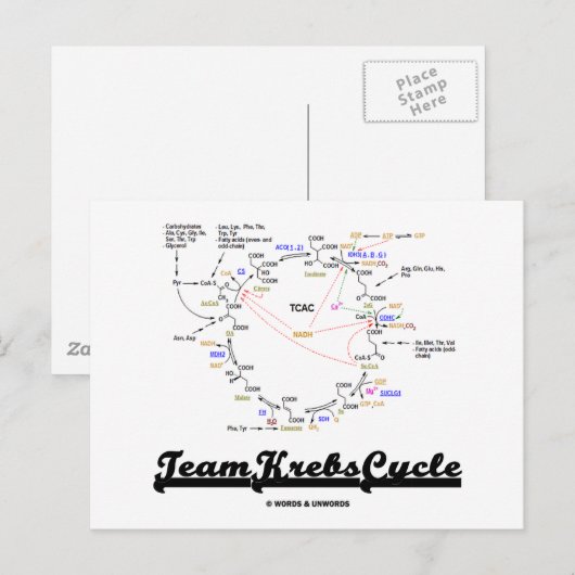 Team Krebs Cycle (Citroenzuurcyclus - TCAC) Briefkaart (Voorkant / Achterkant)