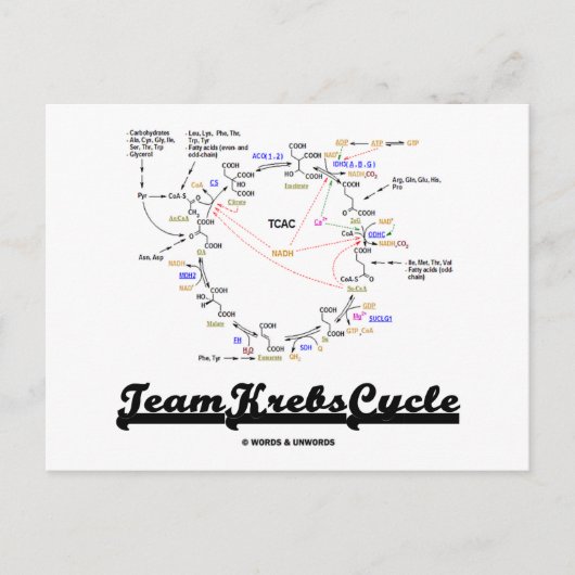 Team Krebs Cycle (Citroenzuurcyclus - TCAC) Briefkaart (Voorkant)