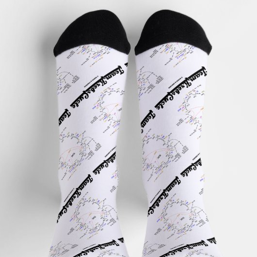 Team Krebs cyclus Citroenzuurcyclus TCAC Sokken (Top)