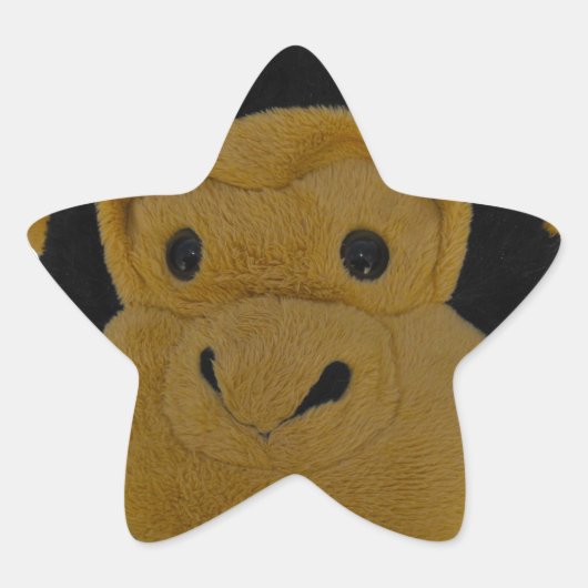 Team Mascotte Ster Sticker (Voorkant)