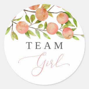 Team Meisje Geslacht Onthullen Partij Stemperzik Ronde Sticker