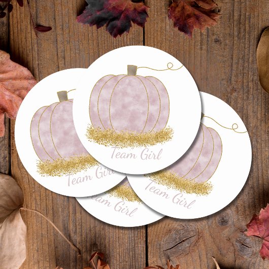 Team Meisje Pompoen Geslacht Onthullen Partij Stem Ronde Sticker