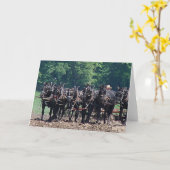 Team met zes paarden kaart (Gele Bloem)