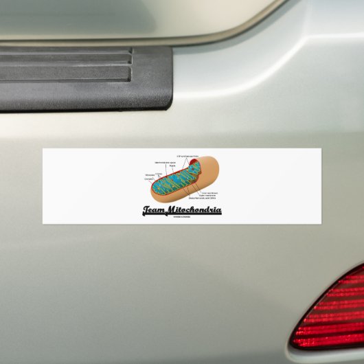 Team Mitochondria (Mitochondrion Humor) Bumpersticker (Op auto)