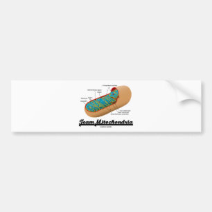 Team Mitochondria (Mitochondrion Humor) Bumpersticker