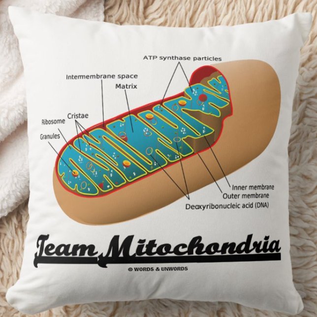 Team Mitochondria (Mitochondrion Humor) Kussen (Team Mitochondria throw pillow for any exerciser who knows that mitochondria power ourselves!)