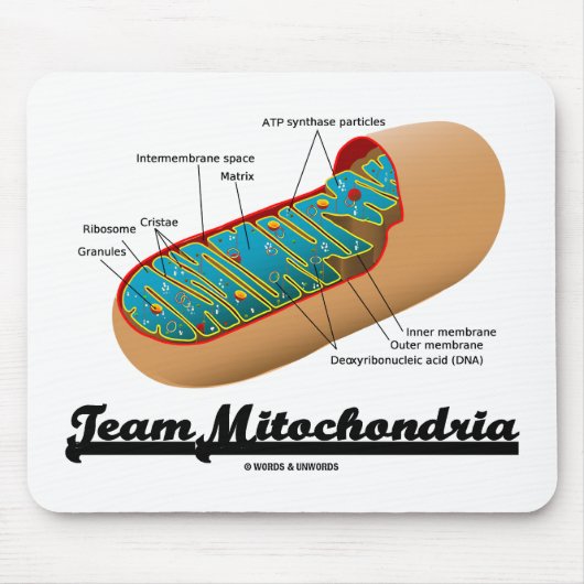 Team Mitochondria Mitochondrion Humor Muismat (Voorkant)