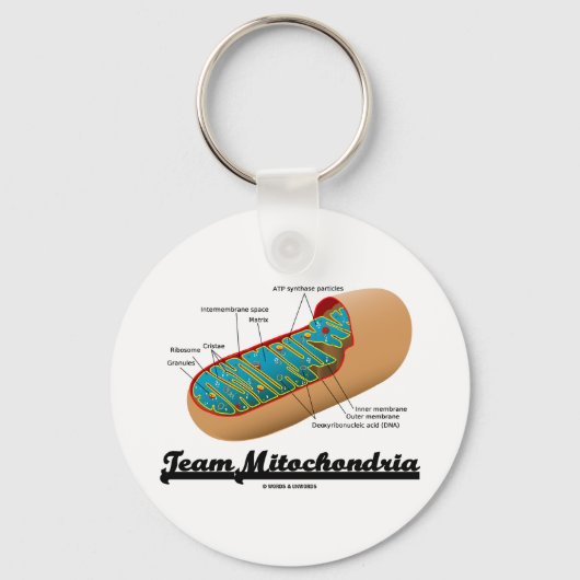 Team Mitochondria (Mitochondrion Humor) Sleutelhanger (Voorkant)