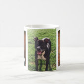 Team MKS-mok Koffiemok (Center)