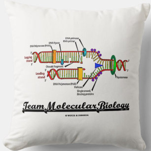 Team Moleculaire biologie (DNA-replicatie) Kussen