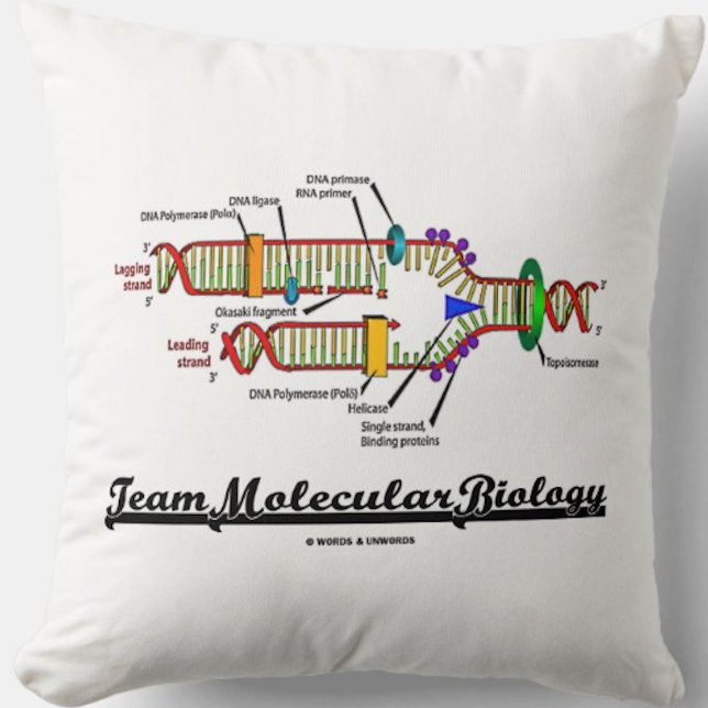 Team Moleculaire biologie (DNA-replicatie) Kussen (Team Molecular Biology throw pillow featuring DNA replication for any molecular biologist)