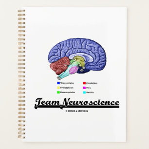 Team Neuroscience Brain Anatomee Attitude Planner
