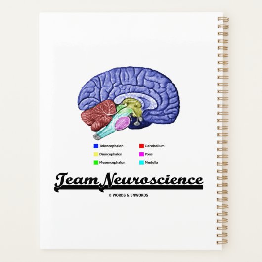 Team Neuroscience Brain Anatomee Attitude Planner (Achterkant)