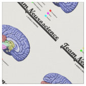 Team Neuroscience Brain Anatomee Attitude Stof (Close Up)