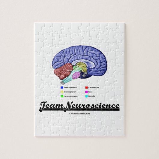 Team Neuroscience (hersenanatomie Attitude) Legpuzzel (Verticaal)