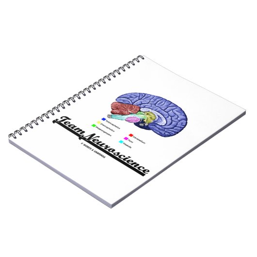 Team Neuroscience (hersenanatomie Attitude) Notitieboek (Linkerzijde)