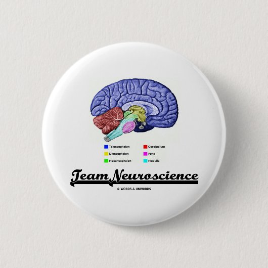 Team Neuroscience (hersenanatomie Attitude) Ronde Button 5,7 Cm (Voorkant)