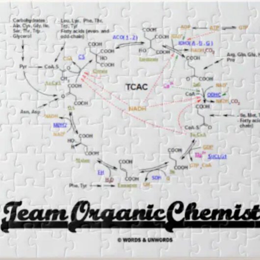 Team Organic Chemistry (Krebs Cycle TCAC) Legpuzzel