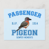 Team Passenger Pigeon Briefkaart (Voorkant)