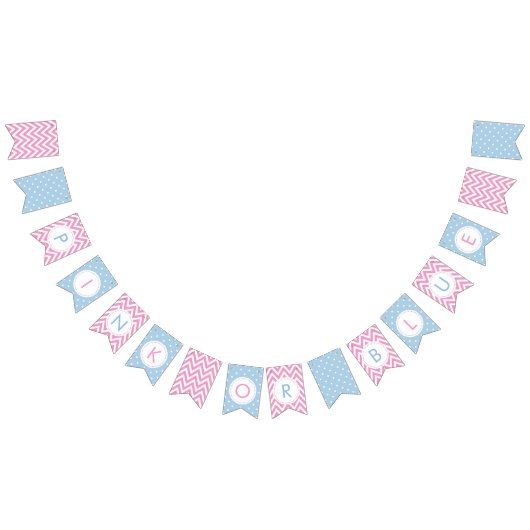 Team Pink of Team Blue Gender Reveal Party Banner (Alle)