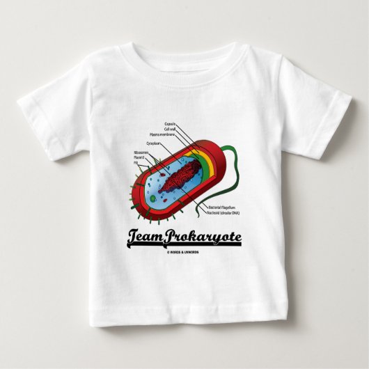 Team Prokaryote (Voorkant)